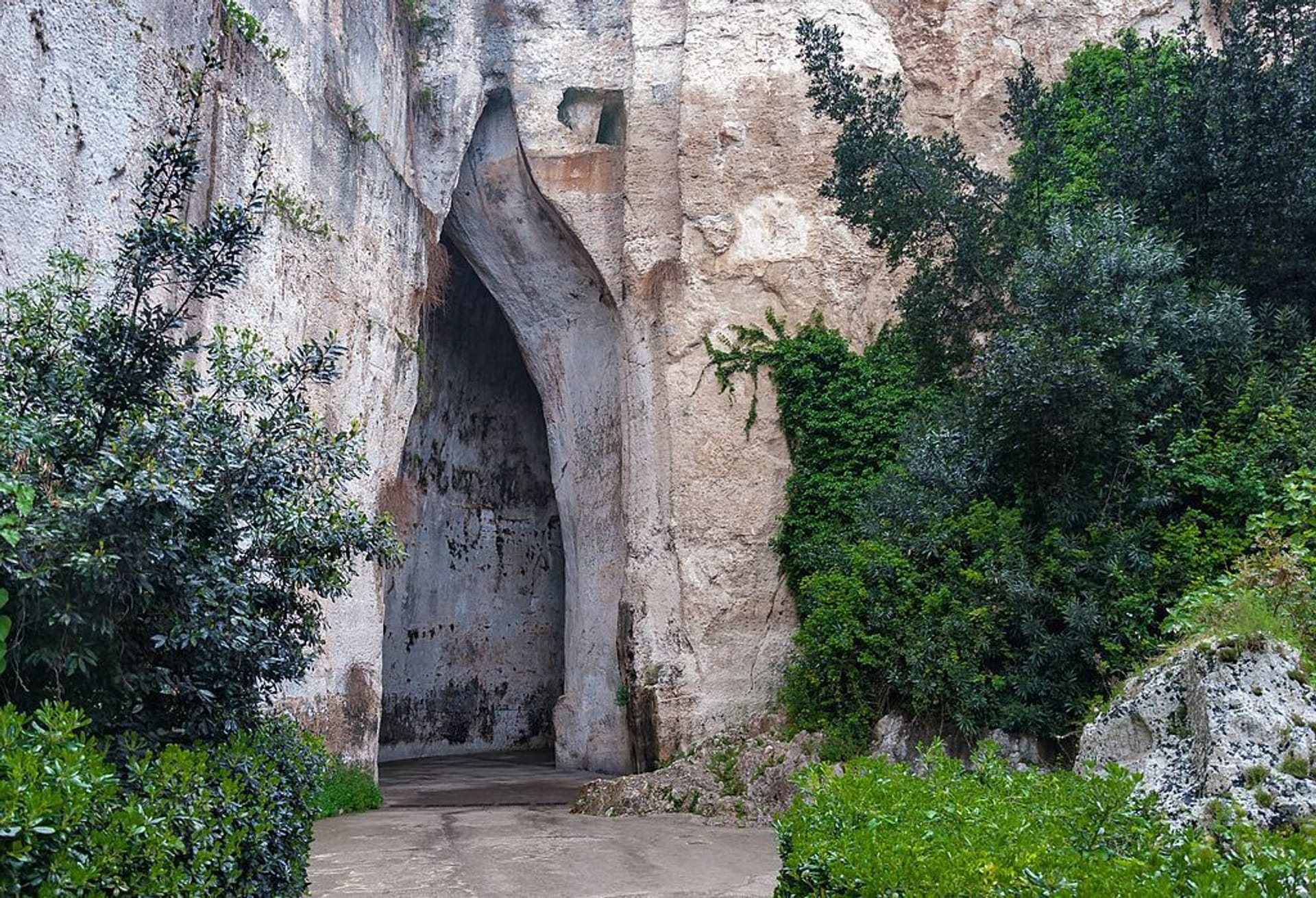 Oreja de Dionisio