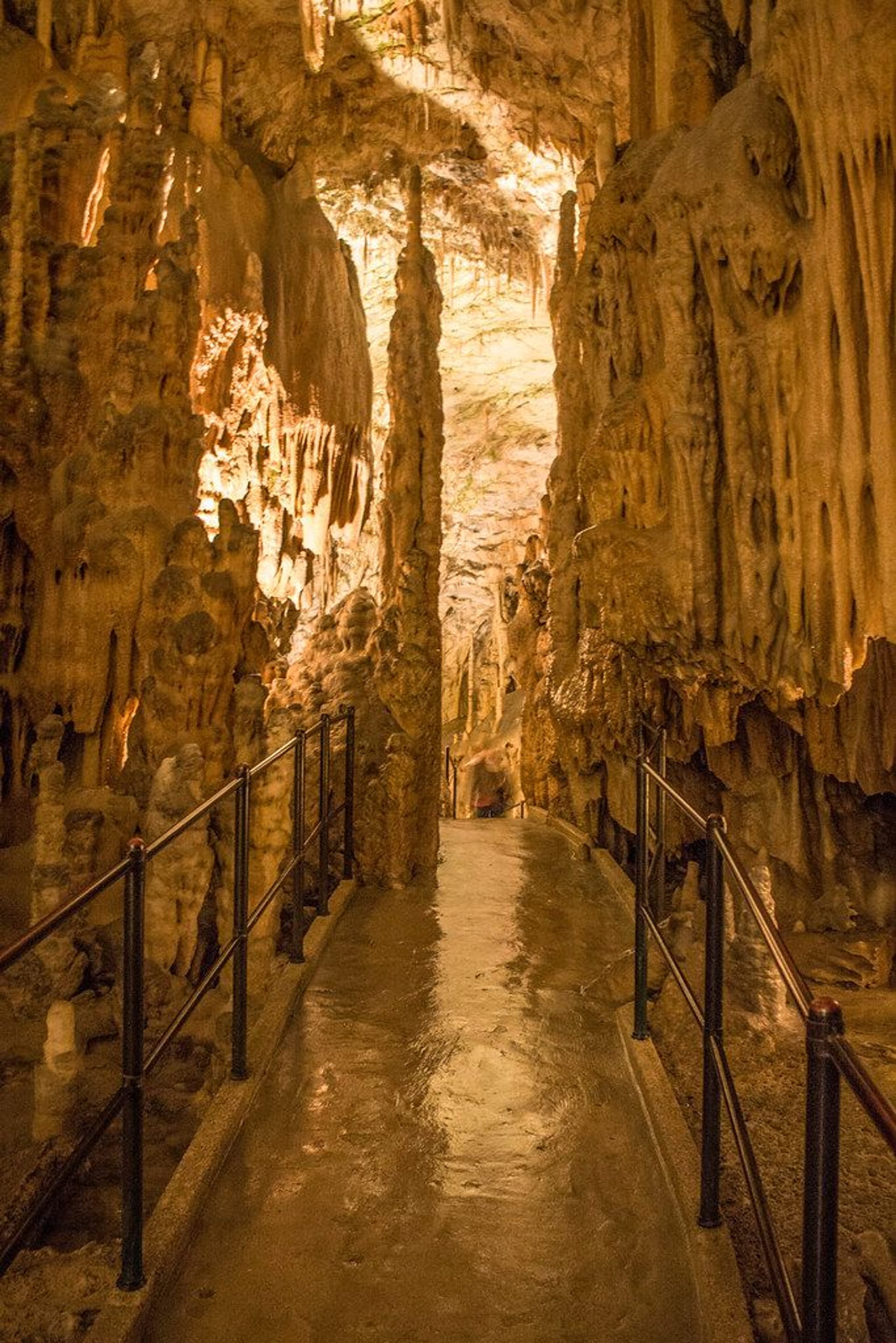 Cuevas de Postojna