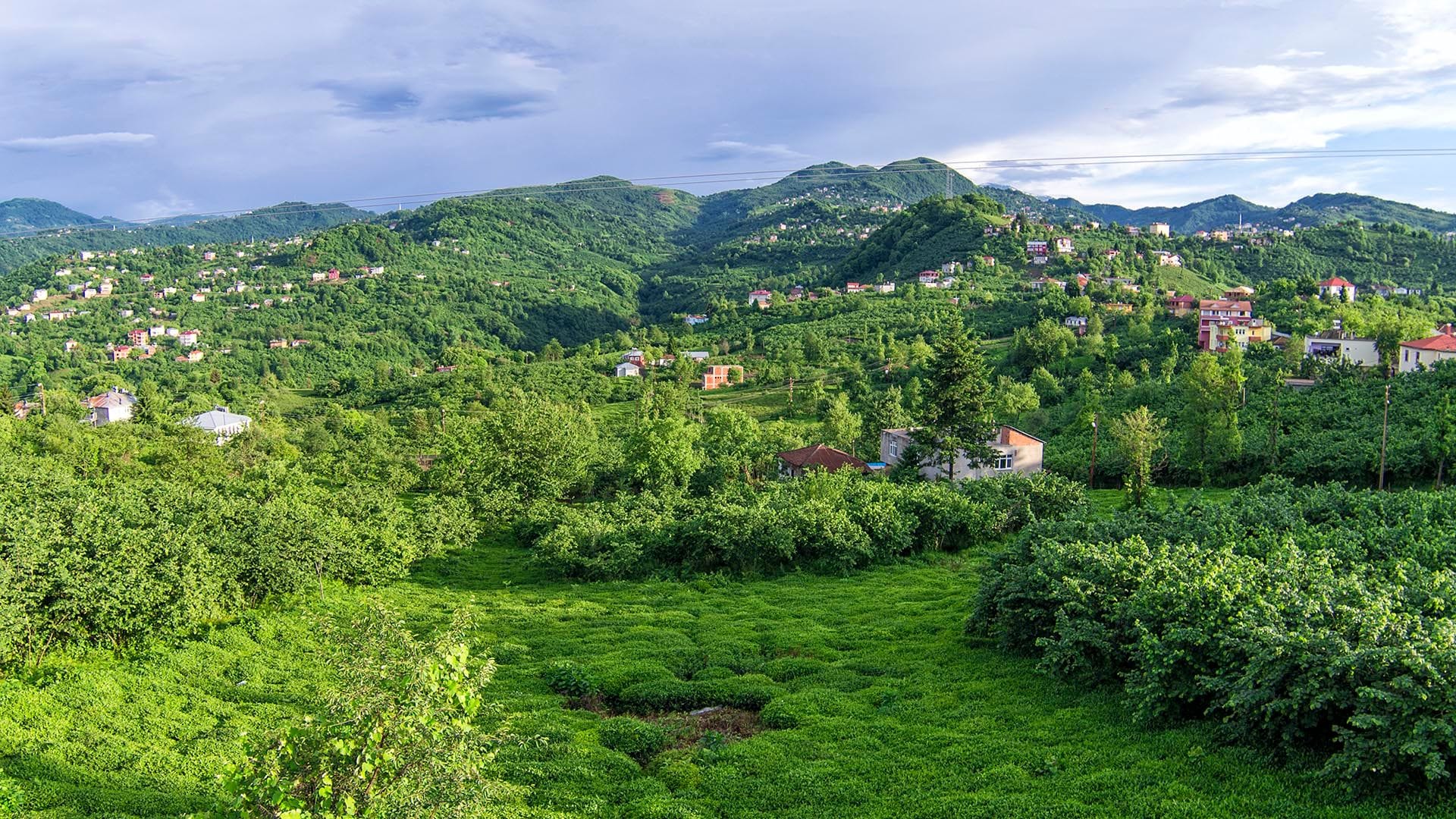Giresun