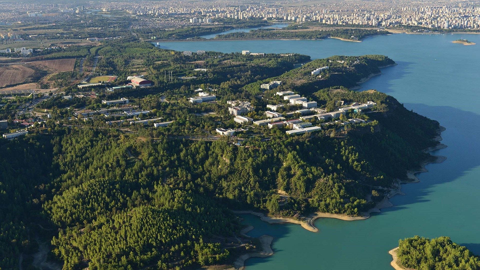 Universidad de Curkurova