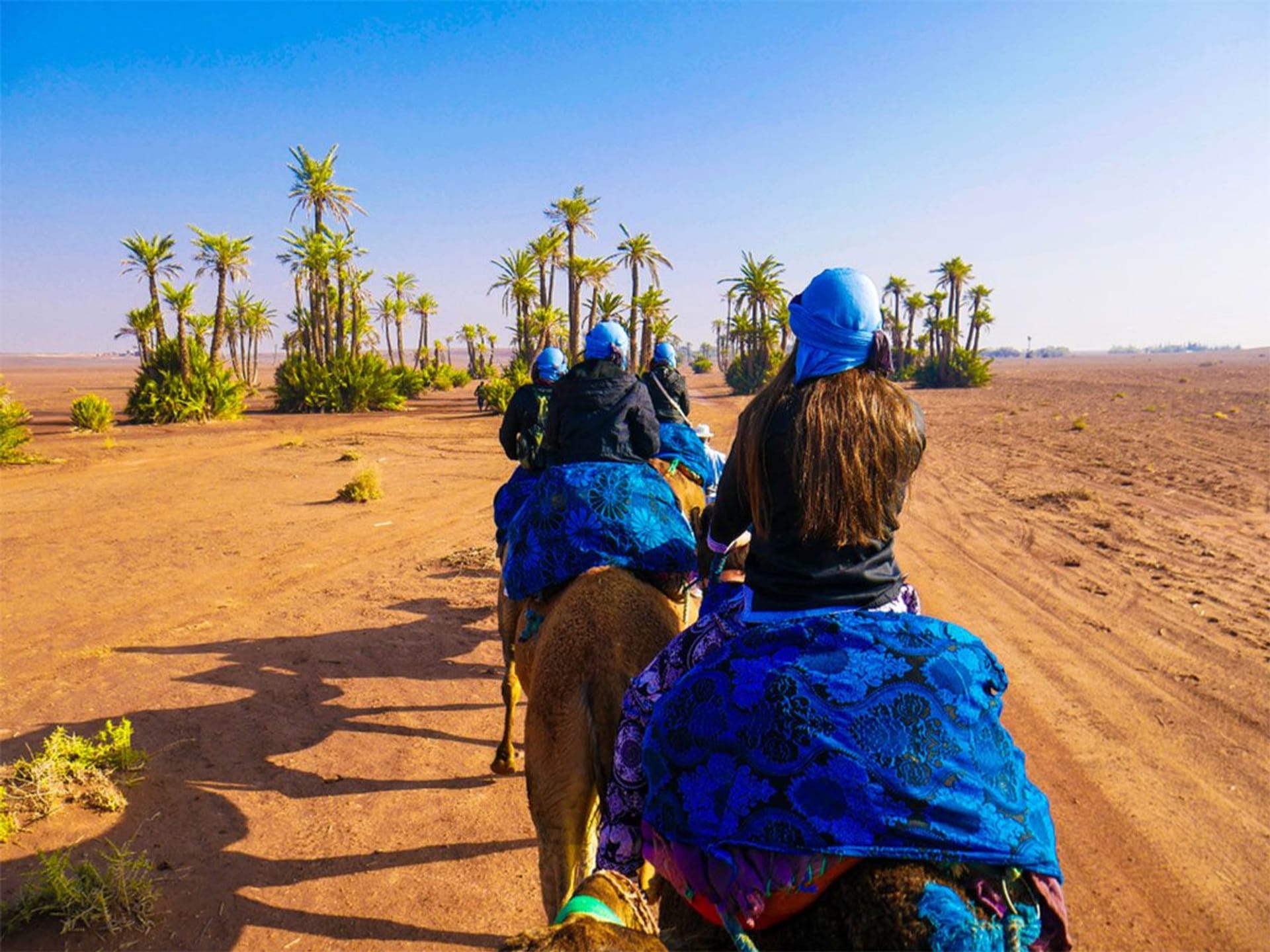 Paseo en Camellos