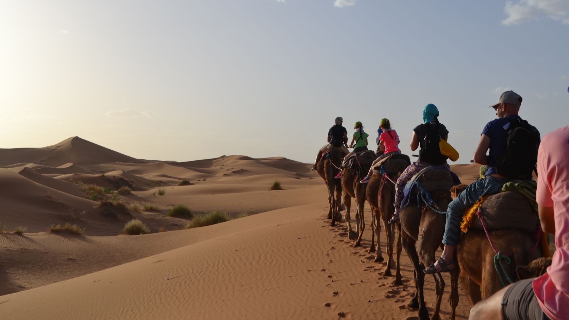 Paseo en Camellos