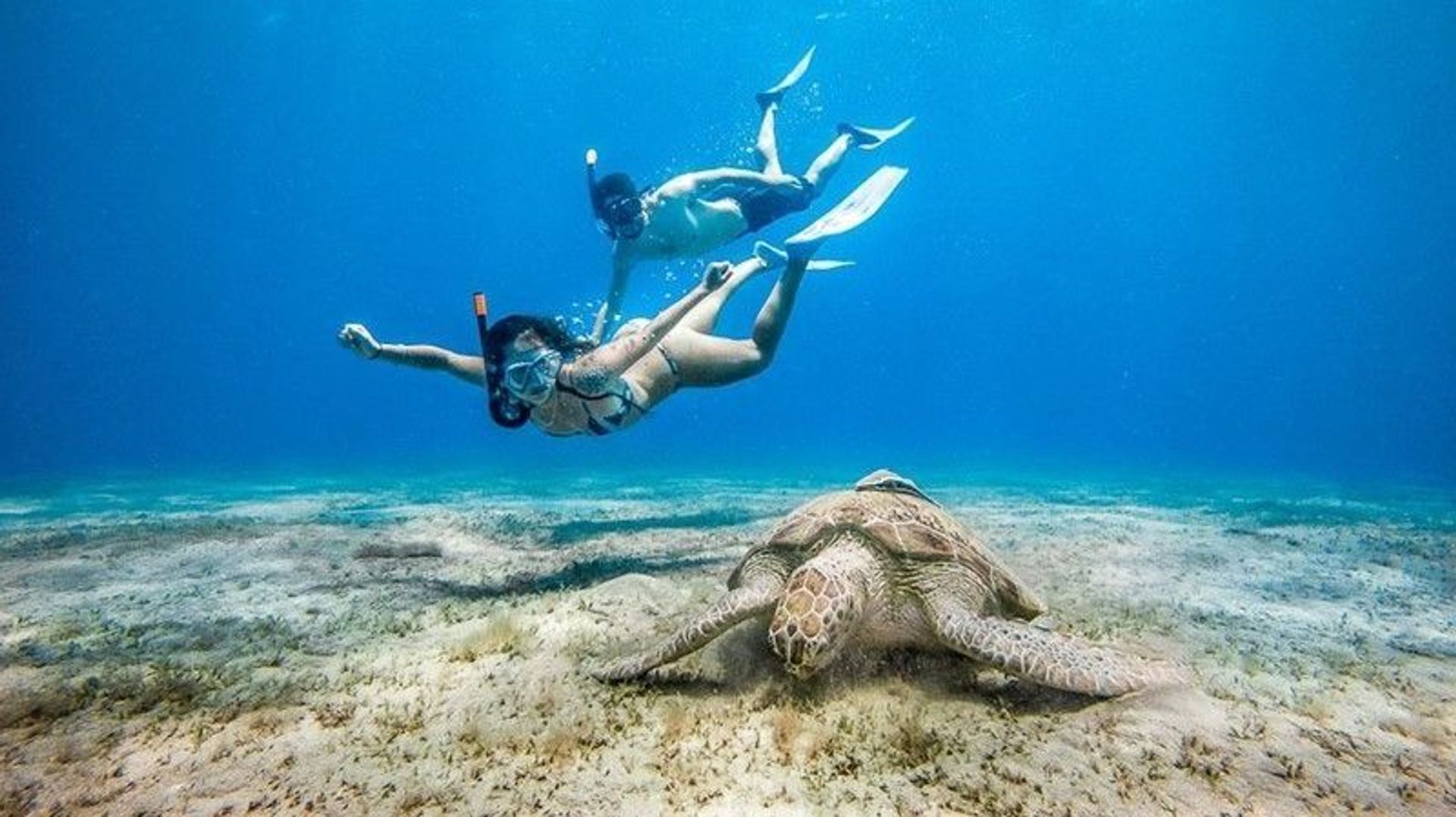 Snorkel en Marsa Alam