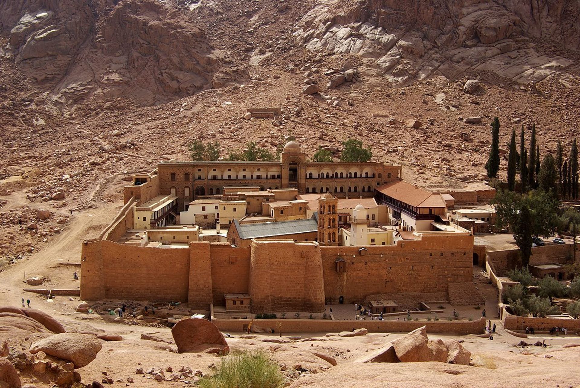 CAIRENES & MOUNT SINAI