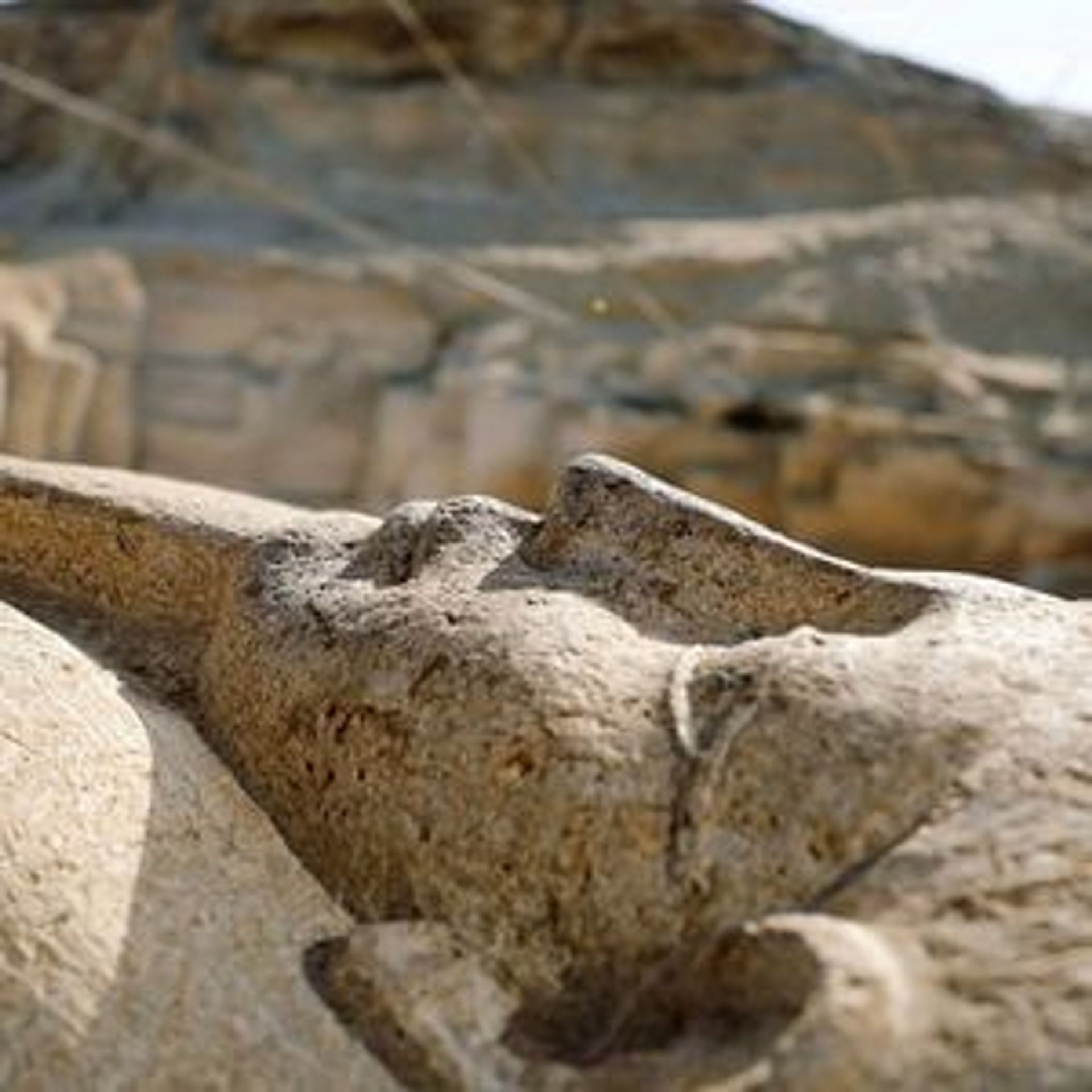 EGIPTO INOLVIDABLE DESDE BARCELONA
