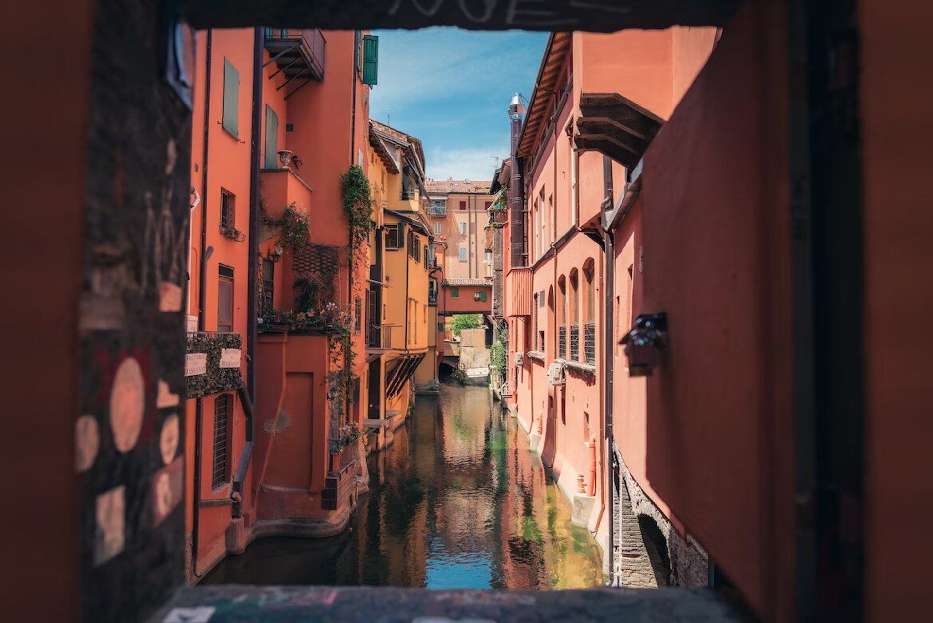 WALKING TOUR IN BOLOGNA