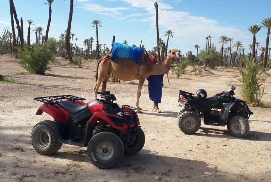 TOUR EN QUAD Y PASEO EN CAMELLO EN EL PALMERAL