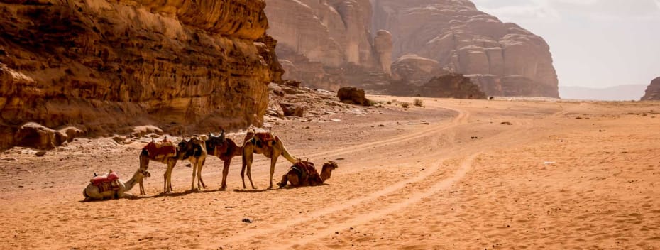 PETRA - PEQUEÑA PETRA - WADI RUM - AMÁN