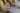 Dommoore 2025 harbour house jai chuhan 300dpi 9801