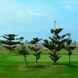 Costa Ballena Ocean Golf Club (Par 3)