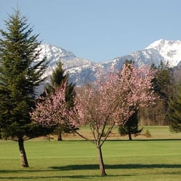 Golfclub Salzkammergut