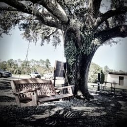 Palm Valley Golf Club