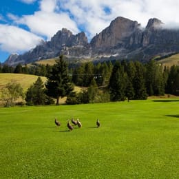 Golf Club Carezza