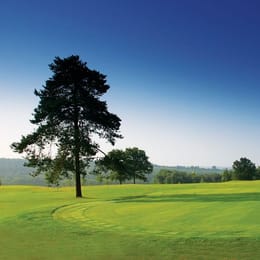 Mannings Heath Golf Club (Kingfisher)