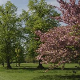 Strawberry Hill Golf Club