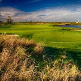 Royal St Patrick's Golf Links