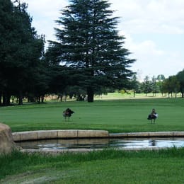 Kempton Park Golf Club