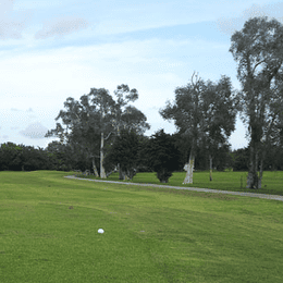 Cooper Colony Country Club