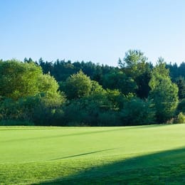 Willows Run Golf (Heron Links)