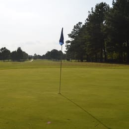Southern Gayles Golf
