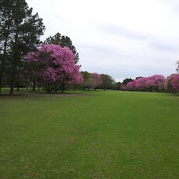 Golf Club Corrientes
