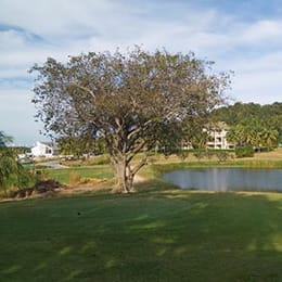 Palm Hills Golf Club