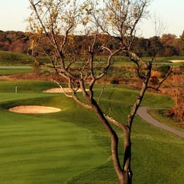 Compass Pointe Golf Courses