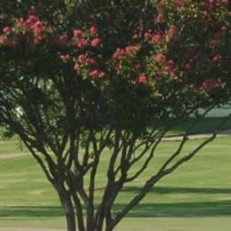 Cedar Crest Golf Course
