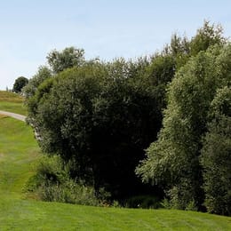 Le Golf National (L'Aigle)
