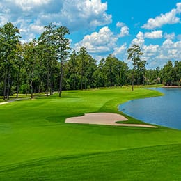 Woodlands Country Club (Player)