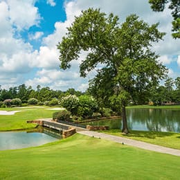 Woodlands Country Club (Palmer)