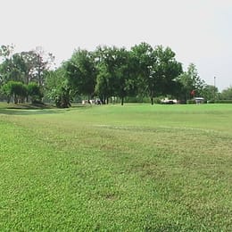 Alvin Golf & Country Club