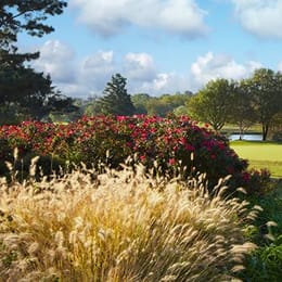 Las Colinas Country Club