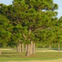 Bayou Golf Club