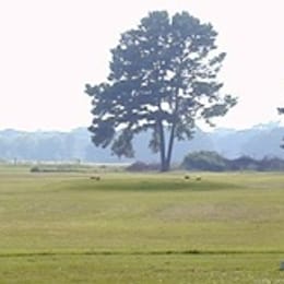 Copperas Hollow Country Club