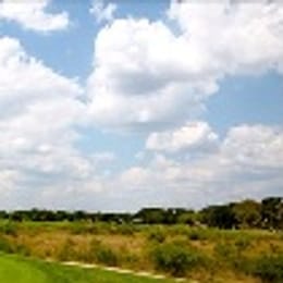 Fair Oaks Ranch Golf & Country Club (Blackjack Oak)