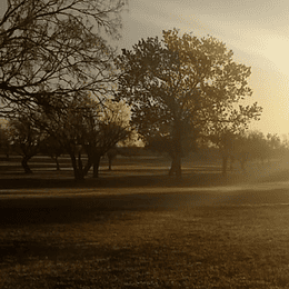 Wolf Creek Golf Links