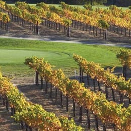 The Course at Wente Vineyards