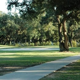 Houston Oaks (Family Nine)