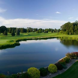 Swan Lake Resort (Silver)