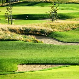 Albatross Golf Resort