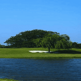 Pecan Lakes Golf Club