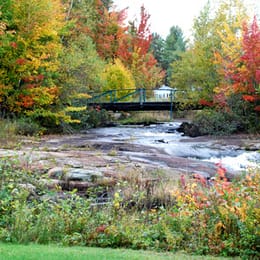 Club de Golf Capri (Le Requin)