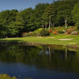 Druids Glen Resort (Druids Glen)