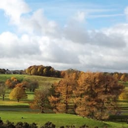 Royal Curragh Golf Club