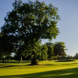 Badgemore Park Golf Club