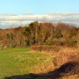 Bude & North Cornwall Golf Club