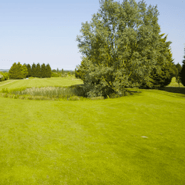 Top Meadow Golf Club