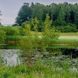 Golfclub Ennetsee - Golfpark Holzhäusern (Zugersee)