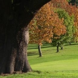 Beckenham Place Park Golf Course